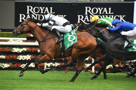 melbourne cup 2021 payouts|2021 Melbourne Cup Results, Winner, Exotics .